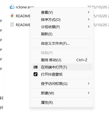 Google云盘备份远程服务器vps